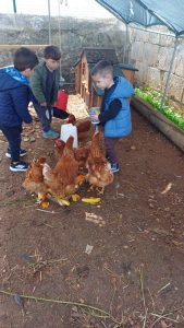 IMG-20250313-WA0034_1_11zon