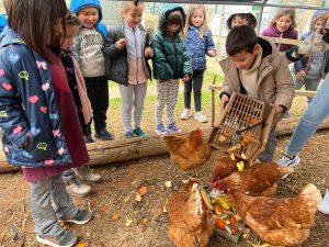 IMG_6685 (1)_2_11zon