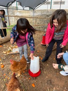 IMG_6689 (1)_4_11zon