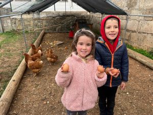 IMG_6702 (1)_5_11zon